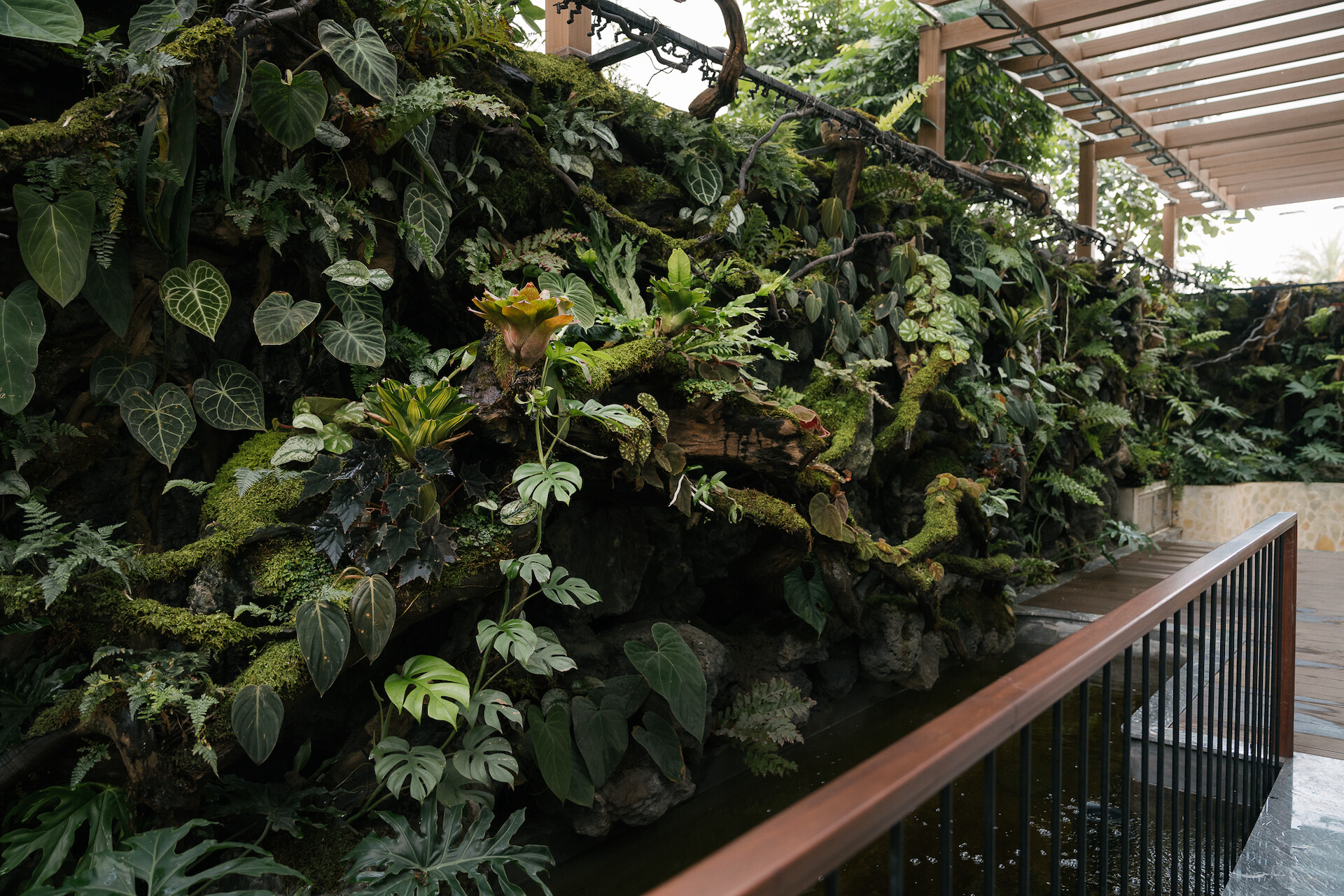 background-trang-chu-12