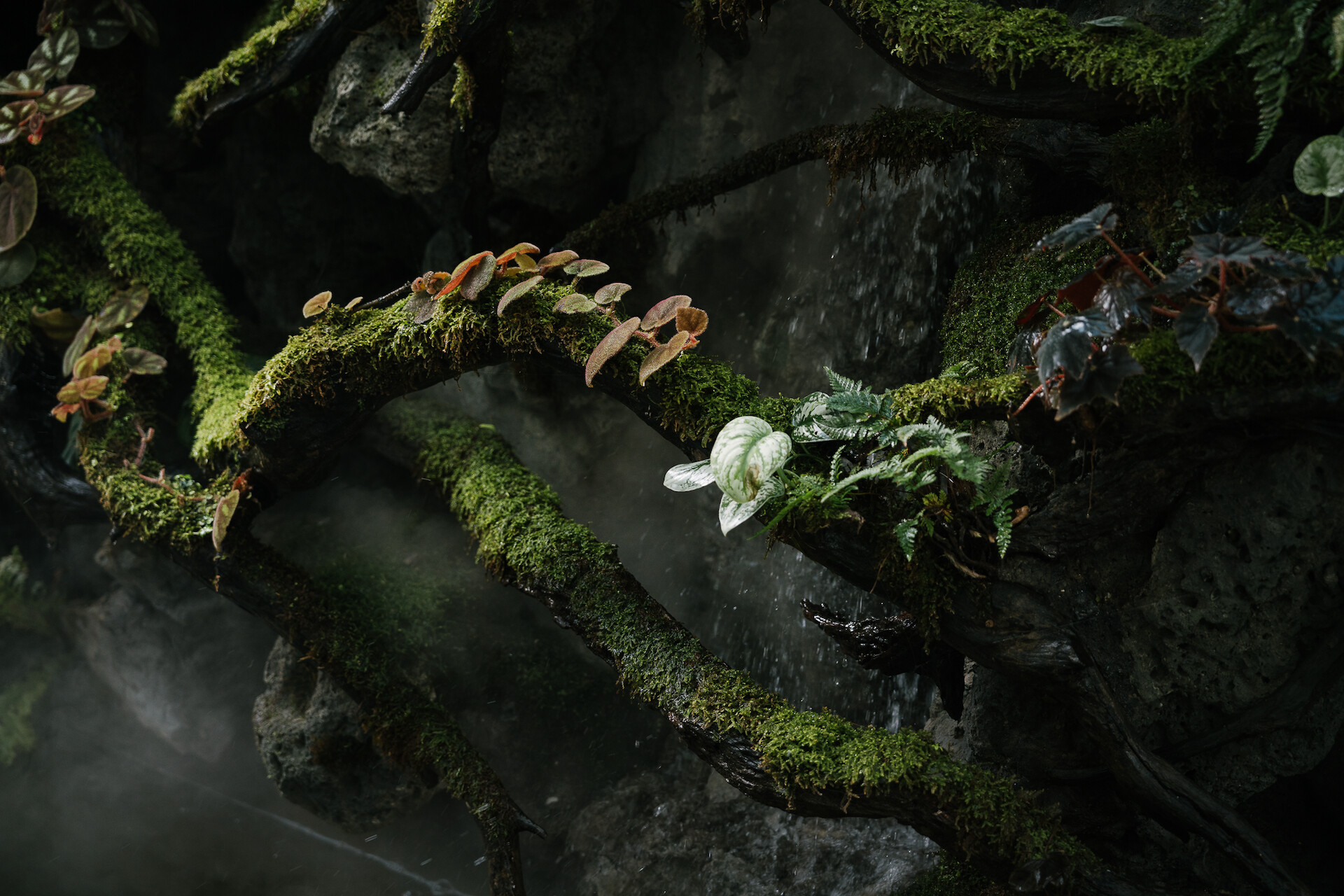 background-trang-chu-13