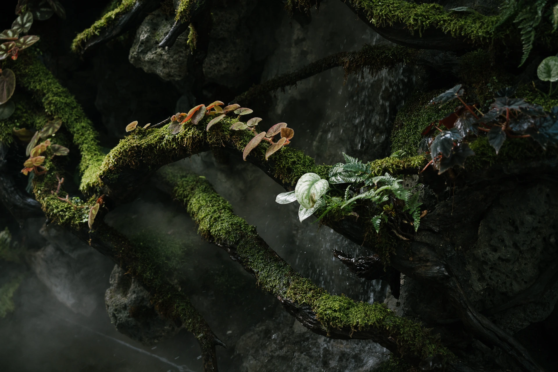background-trang-chu-13